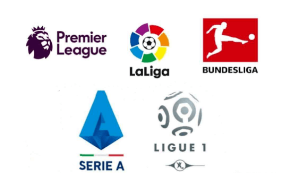 者还是他们 者还是他们